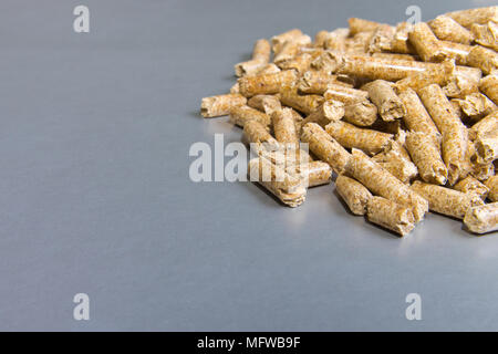 I biocarburanti. Pellet di legno su uno sfondo color argento.pellet biomassa - energia a basso costo. Foto Stock