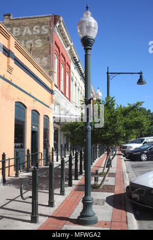 Alberi di San Marcos in Texas Foto Stock