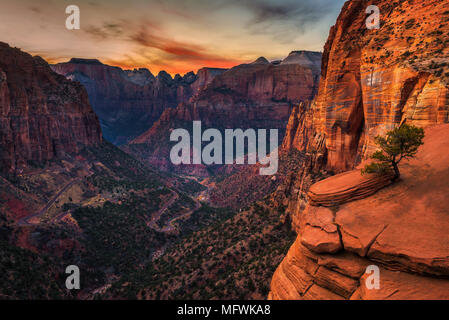 Tramonto sul Parco Nazionale di Zion, Utah Foto Stock