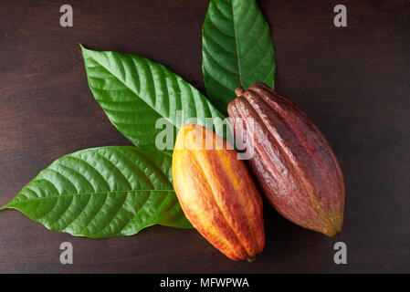 Cacao il tema dell'agricoltura. Colorato cacao Cialde e foglie Foto Stock