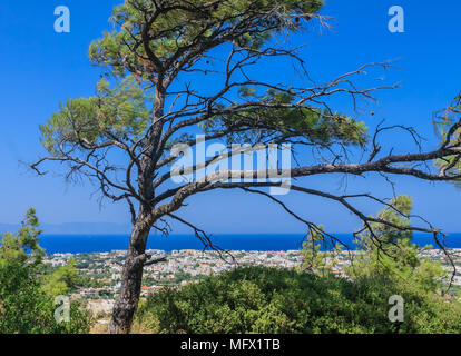 Costa Mediterranea. Ialyssos Resort. L' isola di Rodi. La Grecia Foto Stock