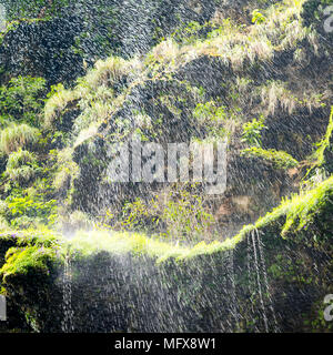 Verde muschio cascata come una naturale sfondo astratto Foto Stock