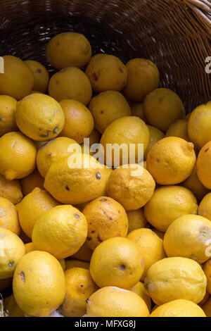 Appena raccolto di limoni o di agrumi sul display su un mercato gli operatori greengrocery stallo a Borough Market. La frutta e la verdura fresca greengroceries Foto Stock