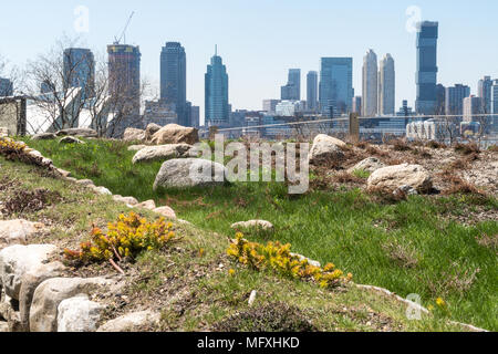 Irlandese Memoriale della fame in Lower Manhattan, New York, Stati Uniti d'America Foto Stock