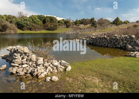 Piccolo laghetto, luogo di irrigazione per gli ovini in primavera nei pressi di Sream (isola di Cres, Croazia) Foto Stock