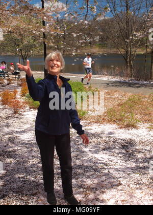 Signora sorridente tossing fiori di ciliegio in aria a parco. Foto Stock