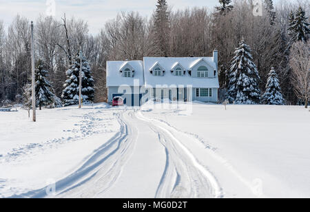 A lungo coperta di neve viale con tracce di pneumatici portano ad una casa bianca e foresta. Foto Stock