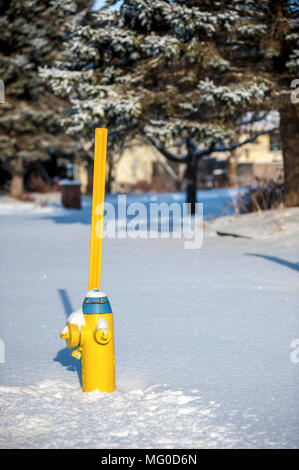 Idrante di fuoco nella neve Foto Stock