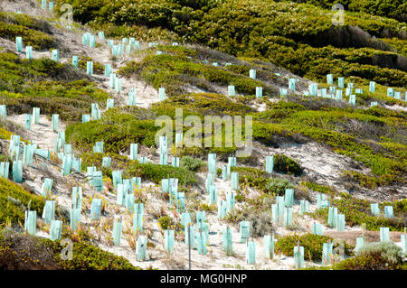 Il Risanamento Ambientale Area Foto Stock