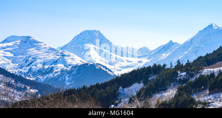 Picchi invernale in Alaska Foto Stock