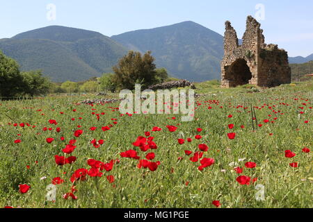 Monastero di Zaraka, Grecia, Korinthia Foto Stock