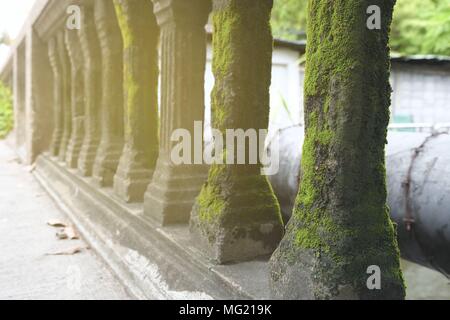 Moss sul vecchio ponte della ferrovia con perdita di luce. Foto Stock