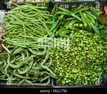 Verdure, spezie, radici e erbe sul contatore, il mercato locale in Thailandia Foto Stock