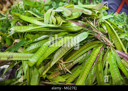 Verdure, spezie, radici e erbe sul contatore, il mercato locale in Thailandia Foto Stock