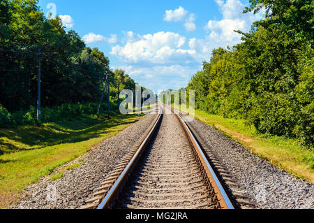 La stazione va all orizzonte, su entrambi i lati del verde foresta densa. Foto Stock