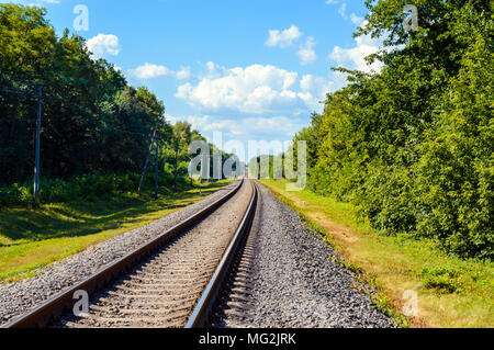 La stazione va all orizzonte, su entrambi i lati del verde foresta densa. Foto Stock