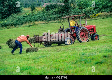 Gettin 'nel fieno. Gli agricoltori balla e raccogliere il fieno raccolto in modo tradizionale utilizzando un antico trattore e duro lavoro di Plainfield, NH, Stati Uniti d'America. Foto Stock