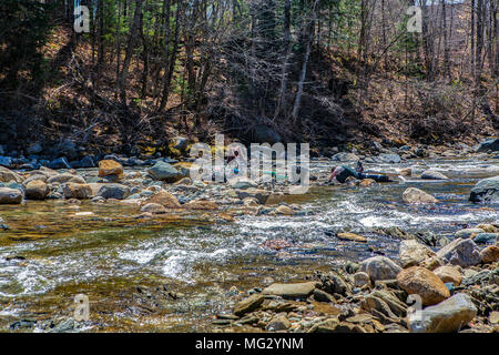 Un ricreative Prospector utilizza l'abilità dragare per trovare l'oro nel selvaggio Ammonoosuc River a Swiftwater, New Hampshire, Stati Uniti. Foto Stock