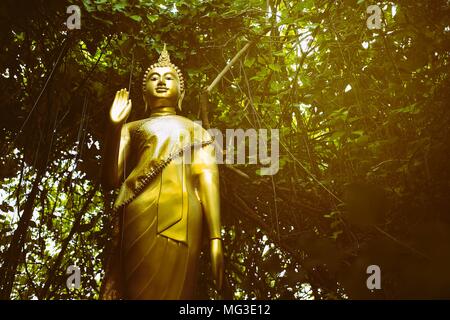 Golden immagine del Buddha in parco con perdita di luce. Foto Stock
