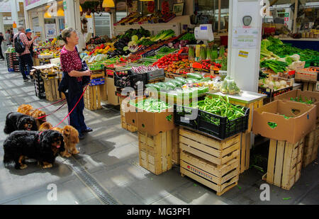 Donna italiana con cani, Nuovo Mercato di Testaccio, Roma, Italia Foto Stock