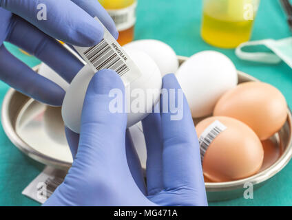 Marca scientifica con etichetta uova in cattive condizioni per esaminare in laboratorio clinico, immagine concettuale Foto Stock