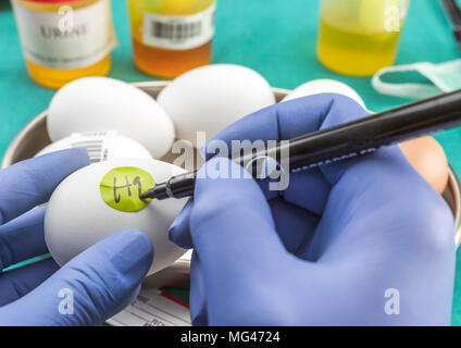 Marca scientifica con etichetta uova in cattive condizioni per esaminare in laboratorio clinico, immagine concettuale Foto Stock