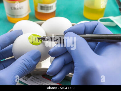 Marca scientifica con etichetta uova in cattive condizioni per esaminare in laboratorio clinico, immagine concettuale Foto Stock