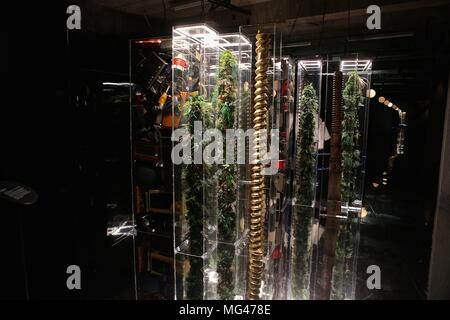 Il Flipside VIP vista privata 26 Aprile 2018 Foto Stock