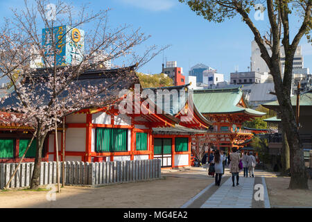 Fiore di Ciliegio a Ikuta Jinja santuario, Kobe, Kansai, Giappone Foto Stock