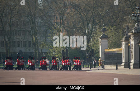 Il 19 aprile 2018. Le guardie Coldsteam in Buckingham Palace e il piazzale antistante formano la guardia d'onore per i capi di governo del Commonwealth riuniti, Londra, Regno Unito. Foto Stock