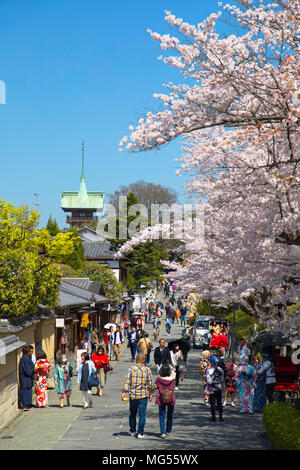Fiore di Ciliegio lungo la corsia di Higashiyama meridionale, Kyoto, Kansai, Giappone Foto Stock