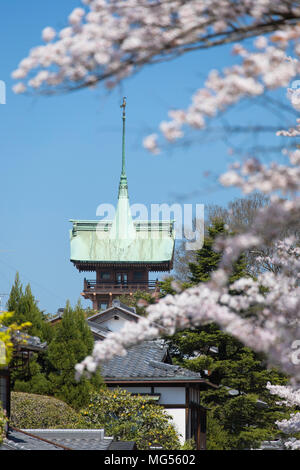 Fiore di Ciliegio lungo la corsia di Higashiyama meridionale e tempio Daiunin, Kyoto, Kansai, Giappone Foto Stock