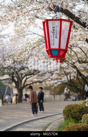 Persone in giardini presso il castello di Hikone, Hikone, Kansai, Giappone Foto Stock