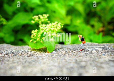 Figura in miniatura fotografo di scattare una foto di fiori. Foto Stock