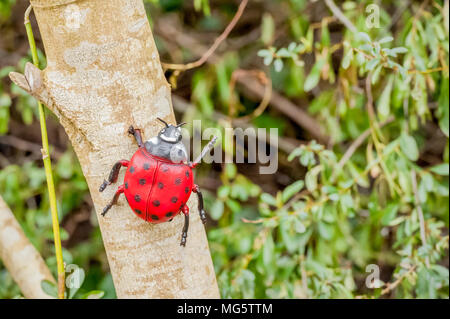 Primo piano di una coccinella in plastica sale su un albero Foto Stock