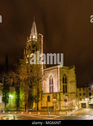 Saint Pierre chiesa in Avignon - Provence, Francia Foto Stock