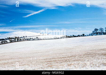 Un inverno mattina sulle Downs nel Wiltshire. Foto Stock