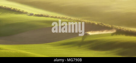 Sunset linee e forme d'onda con alberi in primavera, in Moravia del Sud, Repubblica Ceca Foto Stock