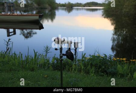 Bella carpa pesca spot al Tienhovense Plassen in Olanda Foto Stock