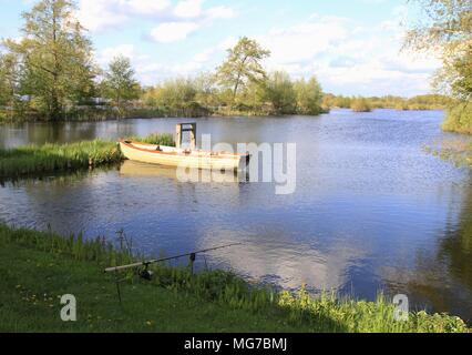 Bella carpa pesca spot al Tienhovense Plassen in Olanda Foto Stock