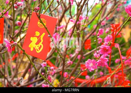 Fiore di Ciliegio alberi con Lai vedere buste rosse per il Capodanno cinese di Hong Kong, Cina, Sud Est asiatico Foto Stock