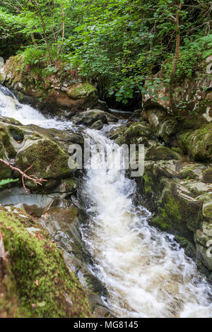 Una piccola cascata sulla Aira Beck, Lake District, Cumbria, England, Regno Unito Foto Stock