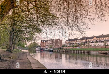 Il percorso lungo il fiume Ouse a York. Alberi a sbalzo a bud e due case galleggianti sono ulteriormente giù il fiume., Foto Stock