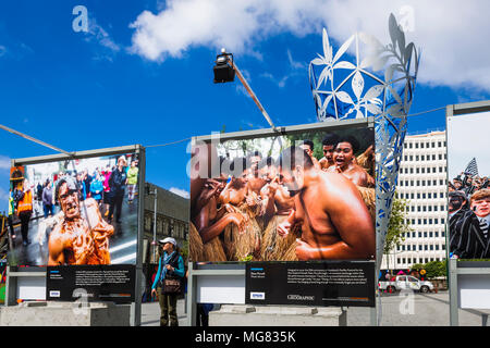 Nuova Zelanda Geographic Photography display, Christchurch, Canterbury, Isola del Sud, Nuova Zelanda Foto Stock