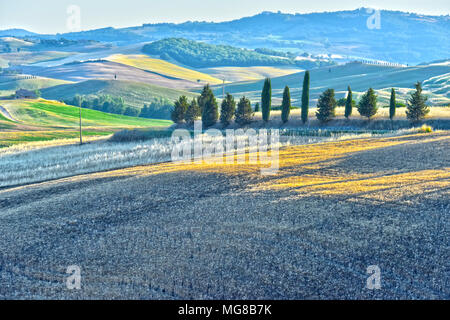 VAL D'ORCIA, Italia - 11 giugno 2017: vista del paesaggio della Val d'Orcia, Toscana, Italia. Patrimonio mondiale dell UNESCO Foto Stock