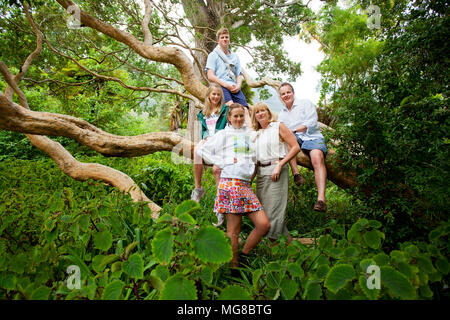 Famiglia in e intorno ad un albero, Kirstenbosch Gardens, Città del Capo Foto Stock