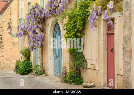 Legno vecchio porte francesi con il glicine di arrampicata sulla parete Foto Stock