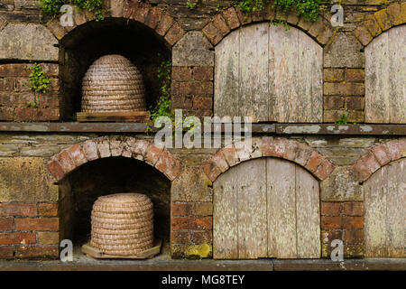 Bee boles contenente vecchio cestello orticaria o skeps in Lost Gardens of Heligan Cornovaglia Foto Stock