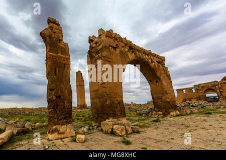 Avente solo una torre di avvistamento Torre, Harran University è la prima università in tutto il mondo conosciuto fin dai primi giorni e ha prodotto una partita del mondiale di f Foto Stock