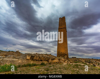 Avente solo una torre di avvistamento Torre, Harran University è la prima università in tutto il mondo conosciuto fin dai primi giorni e ha prodotto una partita del mondiale di f Foto Stock